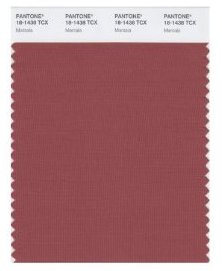 Marsala swatch.jpg