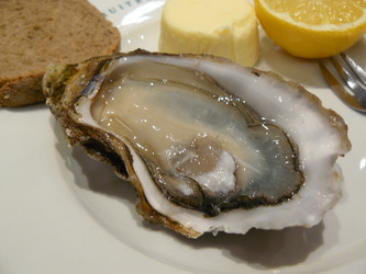 Oyster%20at%20Merle.JPG