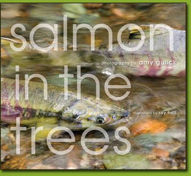 Salmon_Trees_cover.jpg