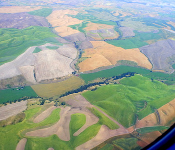 Palouse.JPG